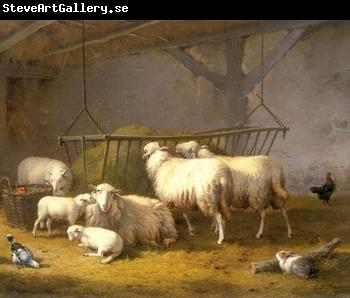 unknow artist Sheep 132